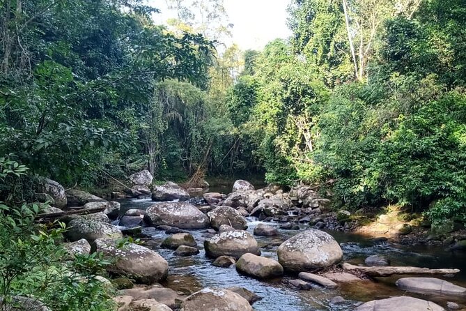 Private Bike Tour in Paraty - Why Paraty feels made for a bike tour