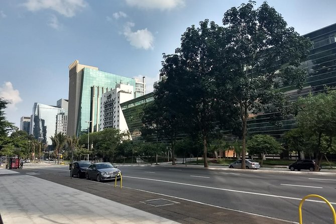 Private Half-Day Guided Tour to São Paulo - Key things to notice before you book