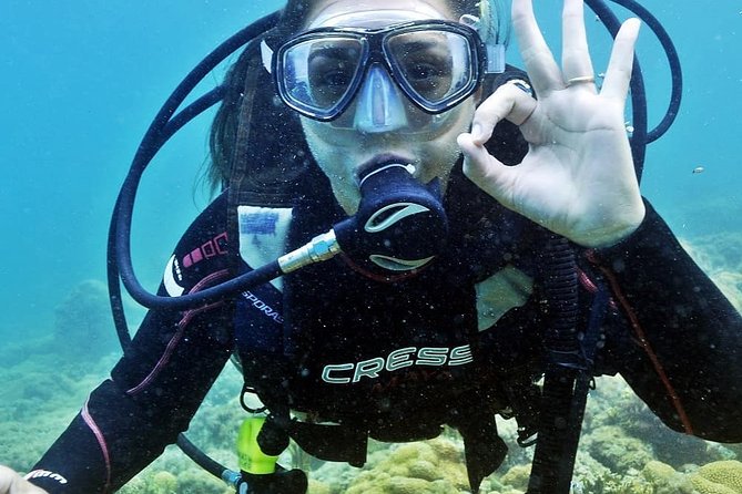 Private Program for Accredited Diver in Búzios - Key highlights you will actually care about