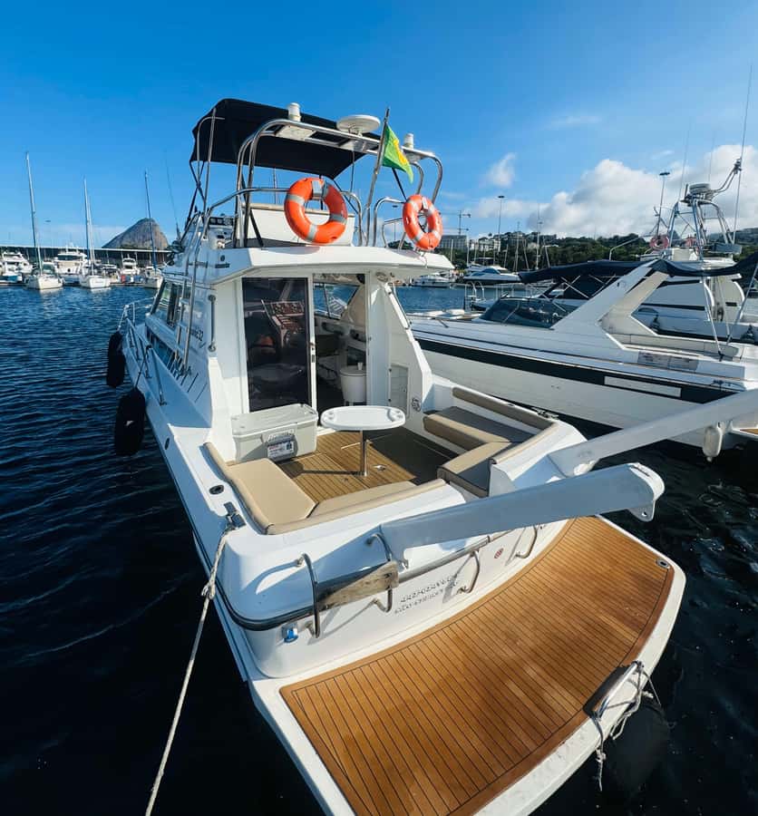 Private speedboat tour in Rio de Janeiro - Meeting at Marina da Glória, and what you’re stepping onto