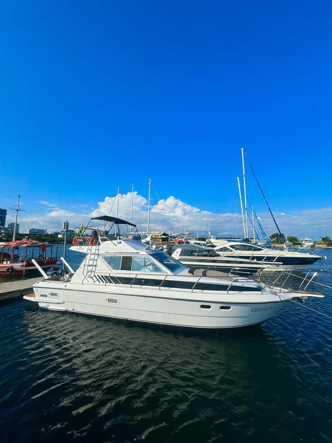 Private speedboat tour in Rio de Janeiro - Choosing your swim and lunch stop, Adão e Eva or Vermelha Beach