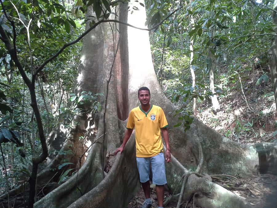 Private Tijuca Forest & Botanical Garden Guided Tour - A 5-Hour Private Nature Day in Rio, With Real Trail Time