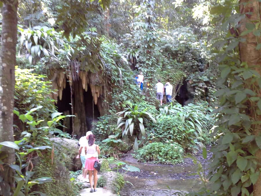 Private Tijuca Forest & Botanical Garden Guided Tour - Should You Book the Private Tijuca Forest and Botanical Garden Tour?