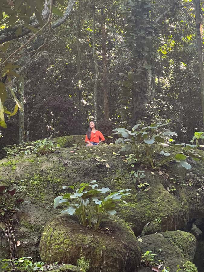 Private Tijuca Forest & Botanical Garden Guided Tour - Cascatinha Taunay Waterfall: A Simple Trail With Atlantic Forest Context