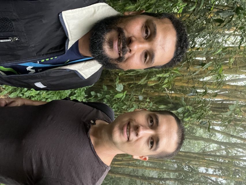 Private Tijuca Forest & Botanical Garden Guided Tour - The Return Ride With View Stops, Then Botanical Garden Finale