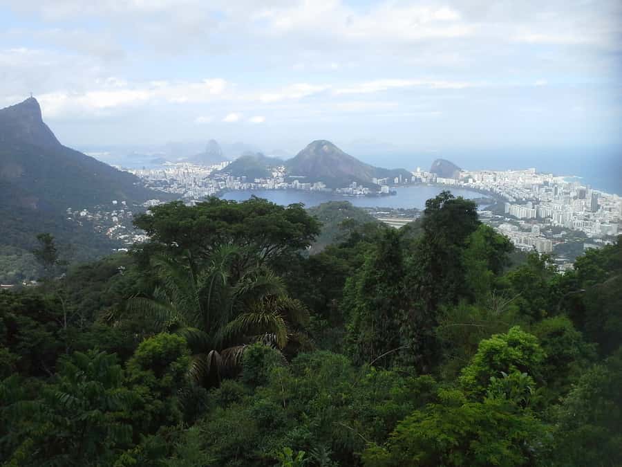 Private Tijuca Forest & Botanical Garden Guided Tour - Price and Value: Is $80 for 5 Hours Fair?