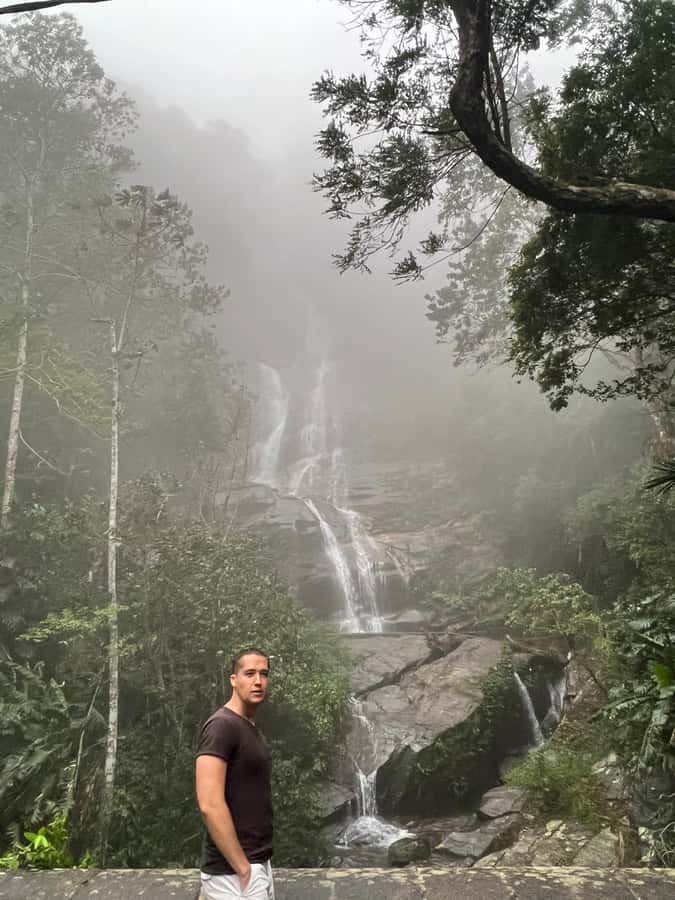 Private Tijuca Forest & Botanical Garden Guided Tour - Vehicle Access Changes: The One Wild Card in the Plan