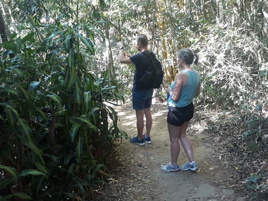 Private Tijuca Forest & Botanical Garden Guided Tour - Who This Tour Is Best For