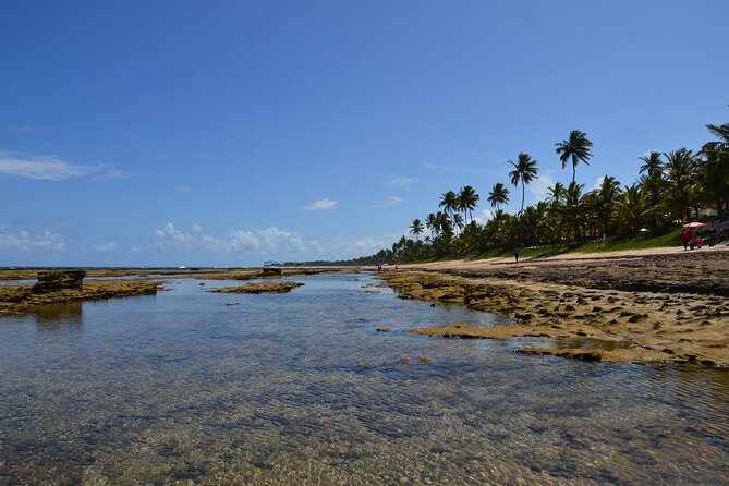 Private Transfer from Porto de Galinhas to Recife Airport - Price and value for small groups (up to 4)