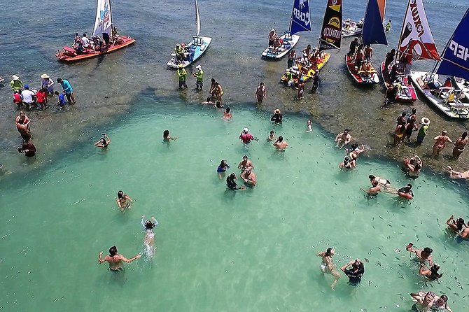 Private Transfer from Recife Airport to Porto de Galinhas - The Main Things to Watch Before You Book