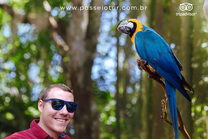 Private transport with guide to Brazil Falls + Bird Park - How the 7:00 am private transport day runs