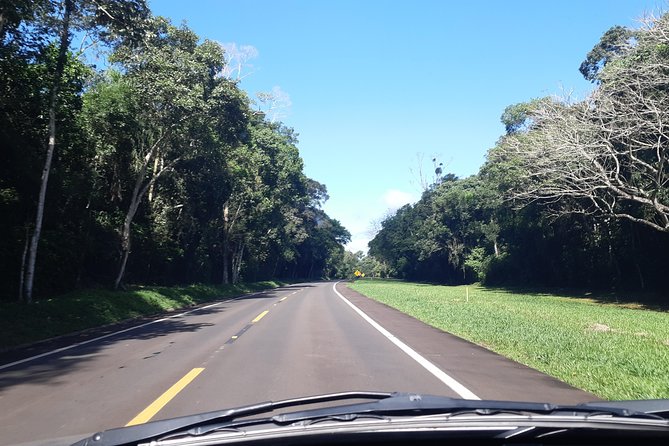 Private transport with guide to Brazil Falls + Bird Park - Price and what you’re really paying for at $150 per group