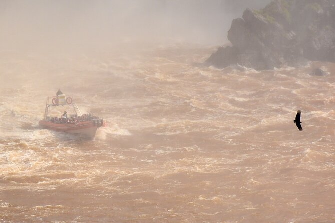 Private transport with guide to the Falls on the Argentinean side. - Iguazu on the Argentine Side, With Less Guesswork