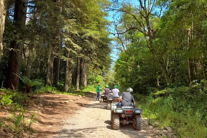Quadricycle Tour to the Hills with Off Road 15km - 01 person - Key things that make this quad tour worth your time