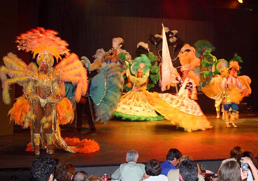 Rafain Palace: Barbecue Dinner Show - Key points I’d plan around