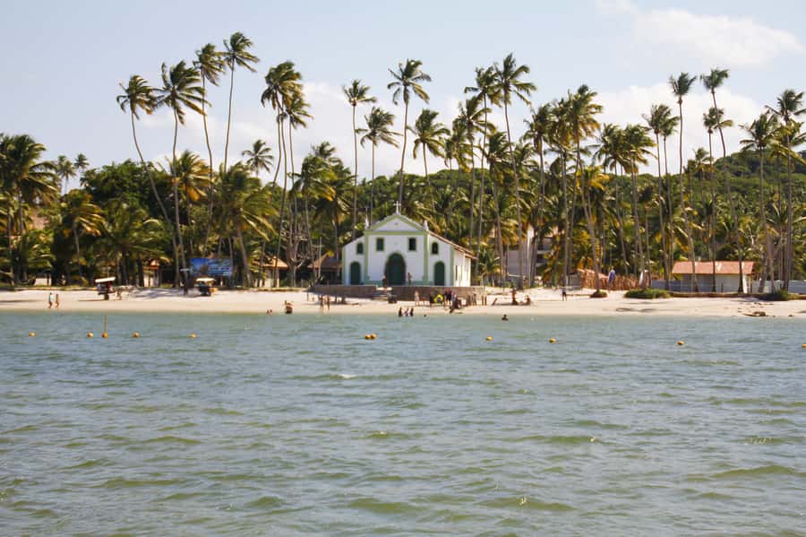 Recife: Carneiros Beach Day Tour - Key highlights worth planning around