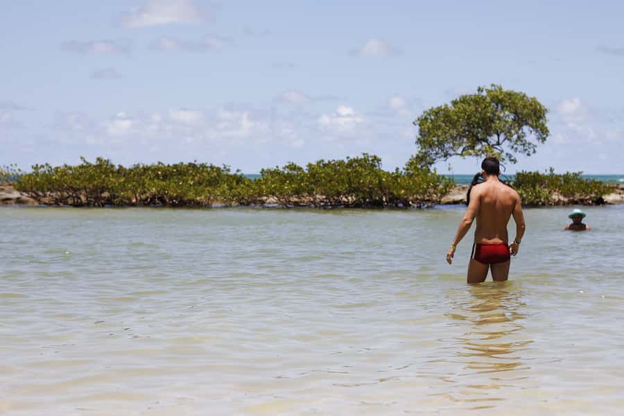 Recife: Carneiros Beach Day Tour - Lunch at Bora Bora: fuel up without losing your swim window