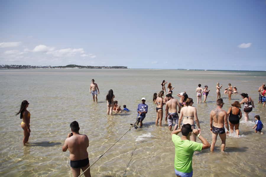 Recife: Carneiros Beach Day Tour - Catamaran time and the natural pools: where tide timing really matters