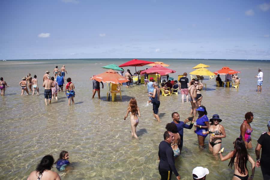Recife: Carneiros Beach Day Tour - Price and value: why $49 can feel like a good deal, or not