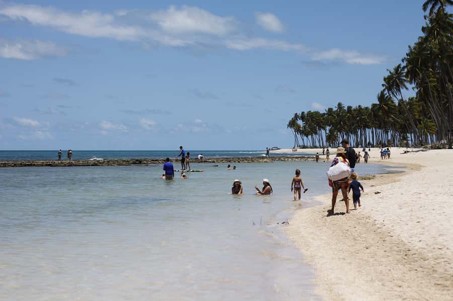 Recife: Carneiros Beach Day Tour - Carneiros Beach: coconut palms, calm water, and a real beach pace