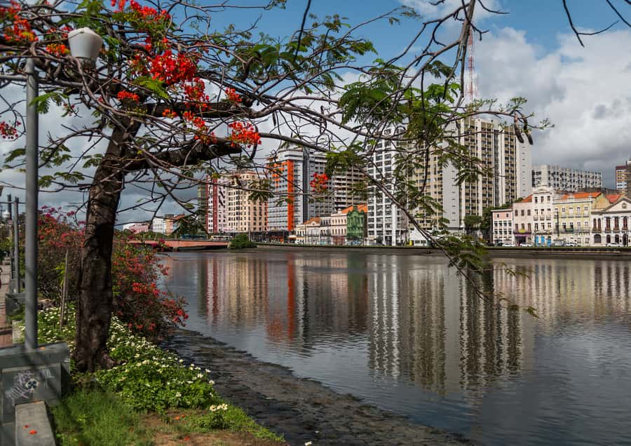 Recife: City Tour Recife & Olinda - Silvio Botelho’s giant dolls: joy during Carnival season
