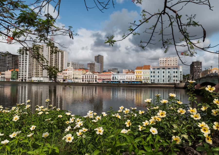 Recife: City Tour Recife & Olinda - Recife Antigo and Arsenal: crafts and old architecture