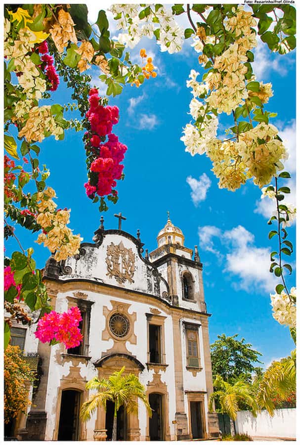 Recife & Olinda City Tour: Unveiling the Charm of Two Cities - Republic Square, Governor’s Palace, and Santa Isabel Theatre
