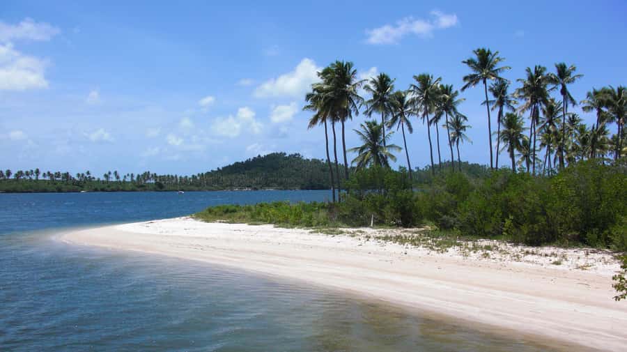 Recife: Tour to Carneiros with Catamaran Ride - Getting there in a 6-hour day: hotel pickup, timing, and road time