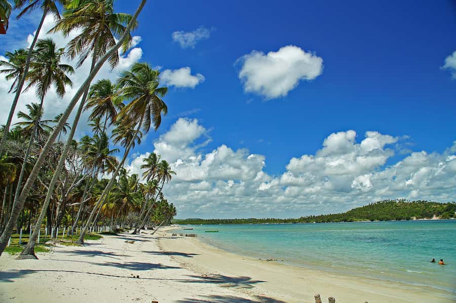 Recife: Tour to Carneiros with Catamaran Ride - First taste of Carneiros: warm water, marine life, and real beach time