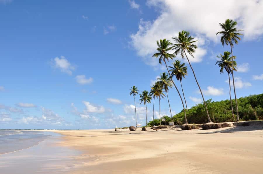 Recife: Tour to Porto de Galinhas - Porto de Galinhas, a classic Pernambuco stop from Recife