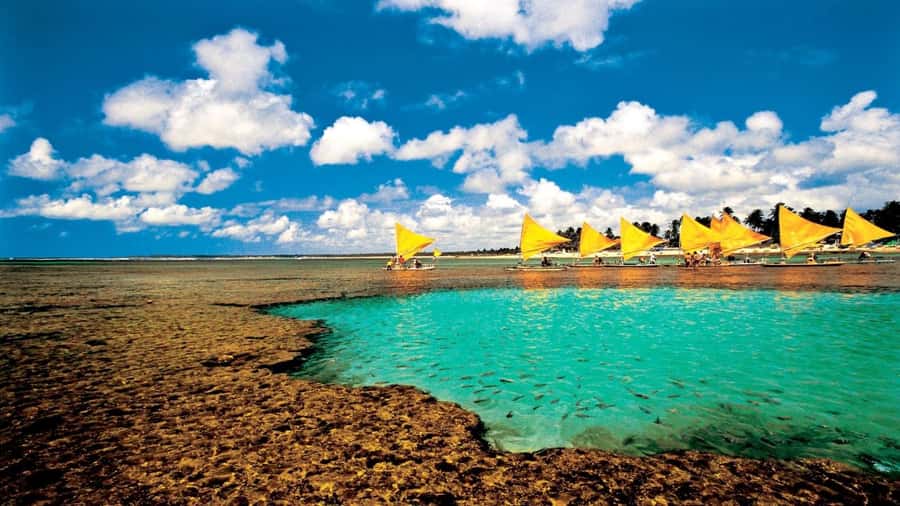Recife: Tour to Porto de Galinhas - Your 4 hours in Porto de Galinhas, natural pools and calm water