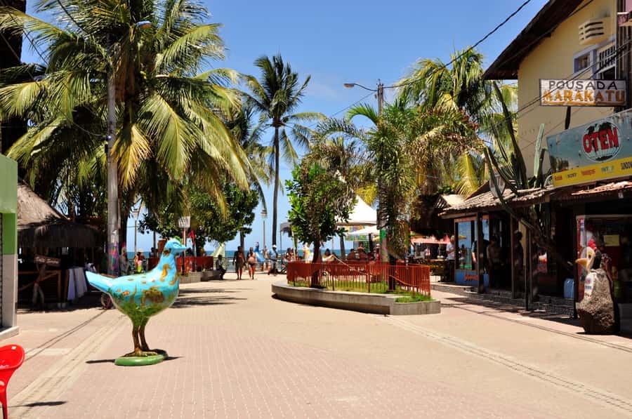 Recife: Tour to Porto de Galinhas - What to bring and how to avoid language confusion