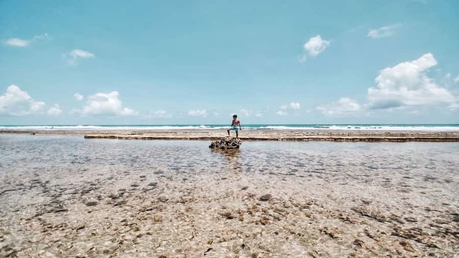 Recife: Tour to Porto de Galinhas - The van ride: 2 hours each way, plus the view-time you get