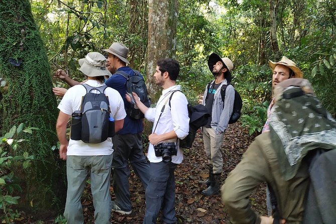 Regional Cruise in the Amazon - The vibe: easy logistics, local contact, real food