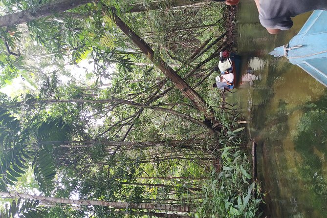 Regional Cruise in the Amazon - Ilha do Amor: the kind of stop that resets your day