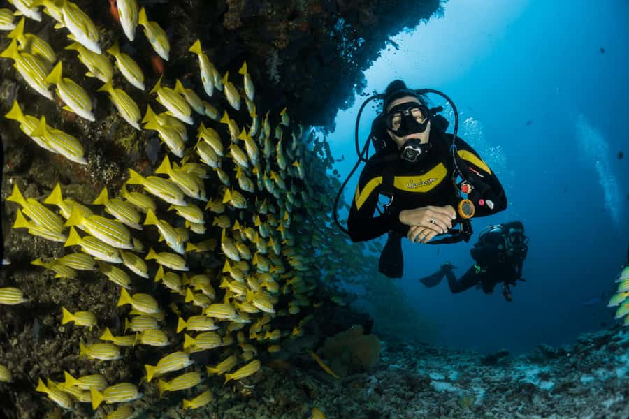Rio: Best Dive Experience All Inclusive Scuba Diving Package - Key Things I’d Tell a Friend Before You Go