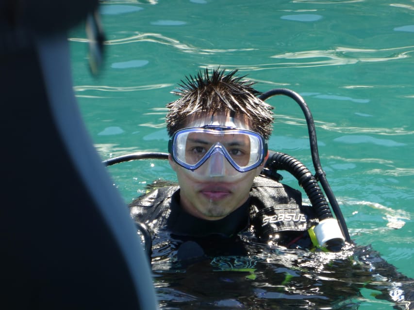 Rio: Best Dive Experience All Inclusive Scuba Diving Package - Who This Tour Fits Best, and Who Should Skip It