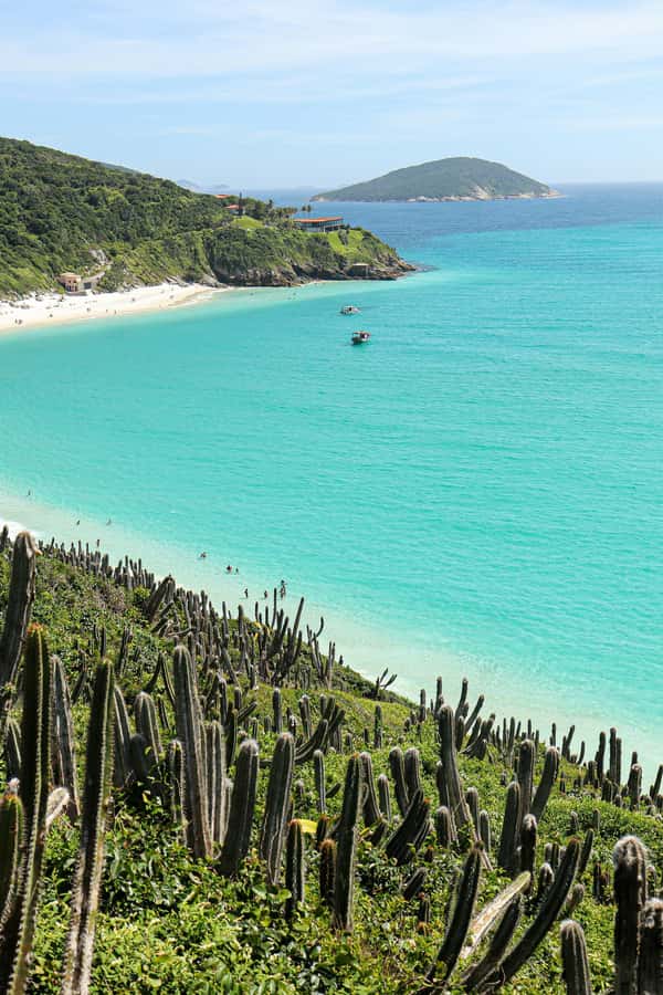 Rio: Best Dive Experience All Inclusive Scuba Diving Package - Certified Scuba Participants: Two Tank Sessions Led by Pros
