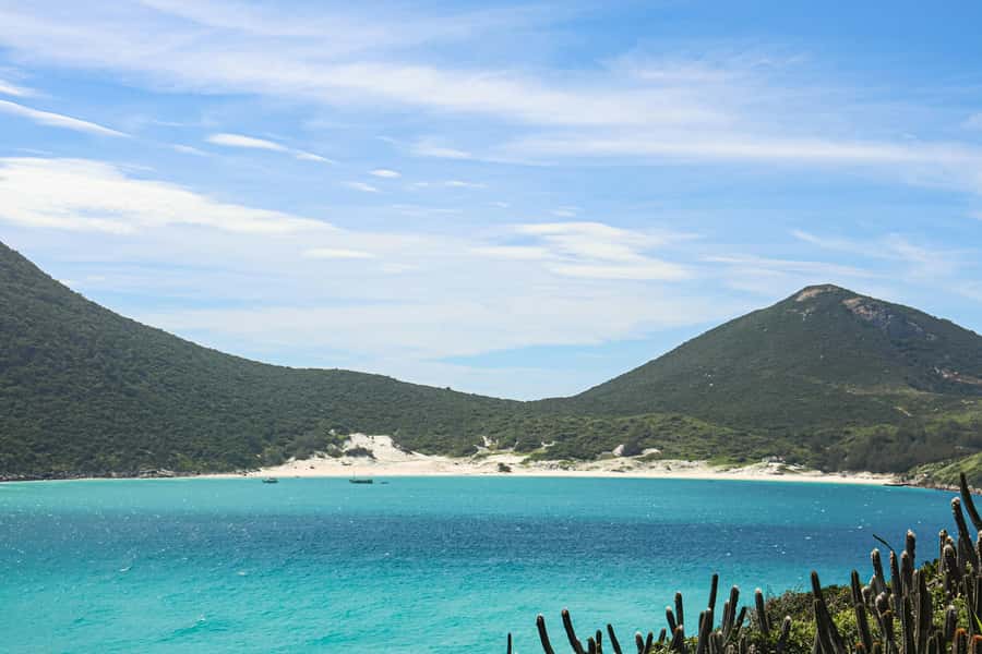 Rio: Best Dive Experience All Inclusive Scuba Diving Package - Marine Life You Can Look For, and Simple Ways to Make It Better