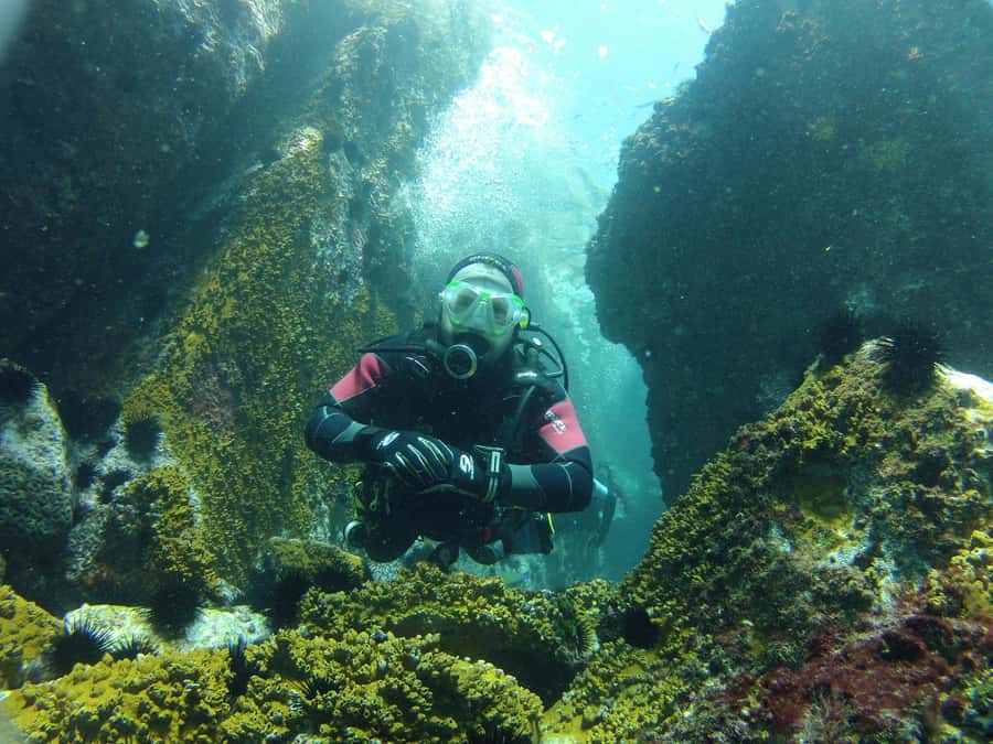 Rio: Best Dive Experience All Inclusive Scuba Diving Package - The 10-Hour Timeline: Hotel Pickup, Safety Briefing, Snorkel Time, Underwater Sessions