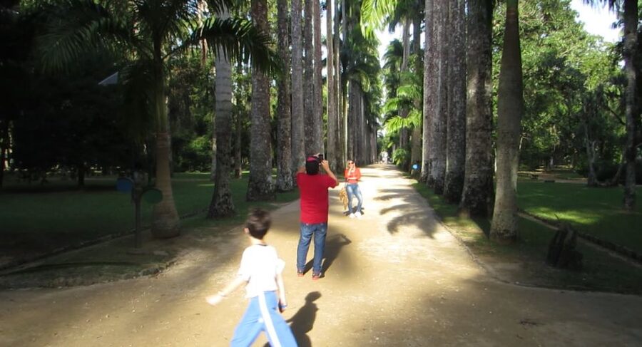 Rio: Botanical Garden, Tijuca Forest, and Parque Lage Tour - Price and value: is $104 worth a half-day?