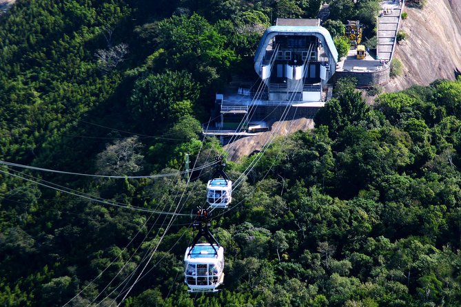 Rio by Day - Main Sights Tour - South Zone Views: Leblon, Ipanema, and the Copacabana Reality Check