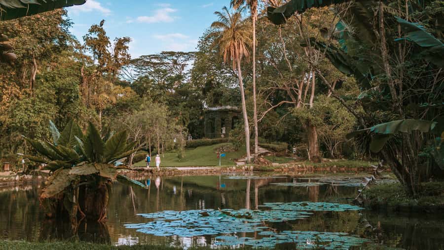 Rio de Janeiro: 4-Hour Botanical Garden & Tijuca Forest Tour - A 4-hour nature hit that still feels like Rio