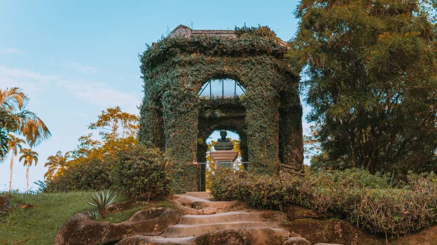 Rio de Janeiro: 4-Hour Botanical Garden & Tijuca Forest Tour - Vista Chinesa at 388 meters: weekday only, skyline views when weather cooperates