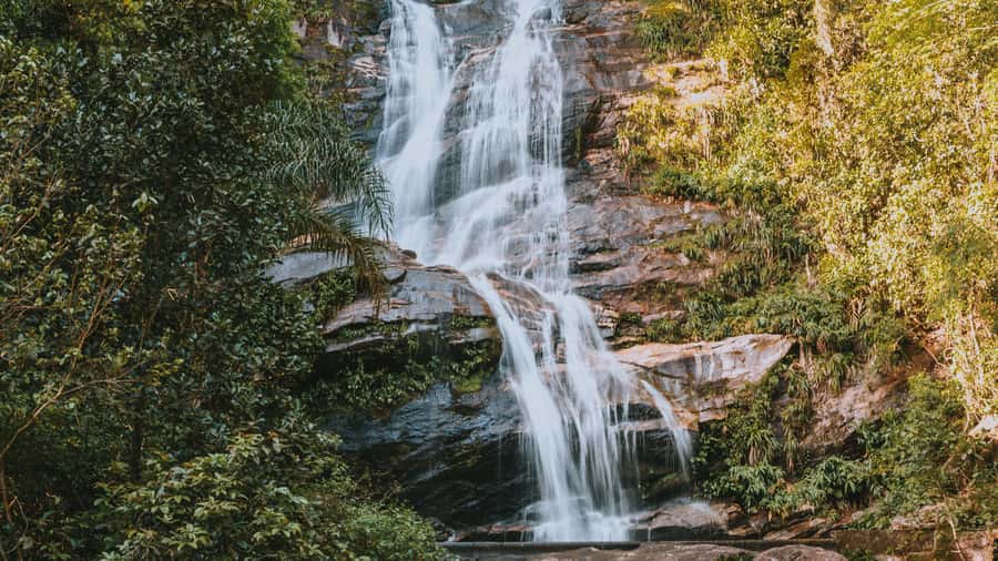 Rio de Janeiro: 4-Hour Botanical Garden & Tijuca Forest Tour - Tijuca National Forest walk: Atlantic Forest vibes and Taunay Waterfall