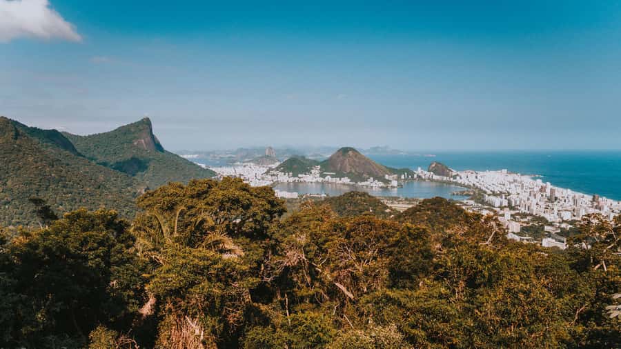 Rio de Janeiro: 4-Hour Botanical Garden & Tijuca Forest Tour - Guides, pacing, and the small details that shape the day