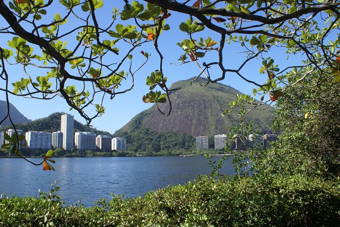 Rio de Janeiro Airport Roundtrip Private Transfer - The Provider Side: Gray Line Brazil and the 24/7 Promise