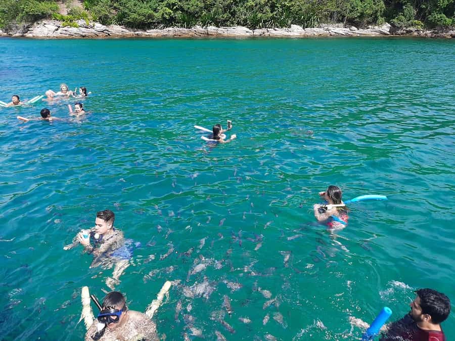Rio de Janeiro: Angra dos Reis and Ilha Grande Full-Day Tour - Who Should Book This Day Trip (and Who Should Skip It)