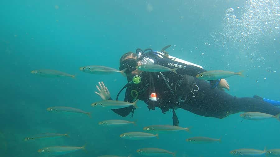 Rio de Janeiro: Arraial do Cabo Scuba Diving Day Trip - Who this tour fits best