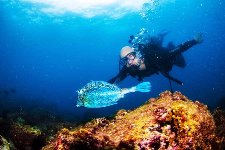 Rio de Janeiro: Arraial do Cabo Scuba Diving Day Trip - What makes the small group setup worth it